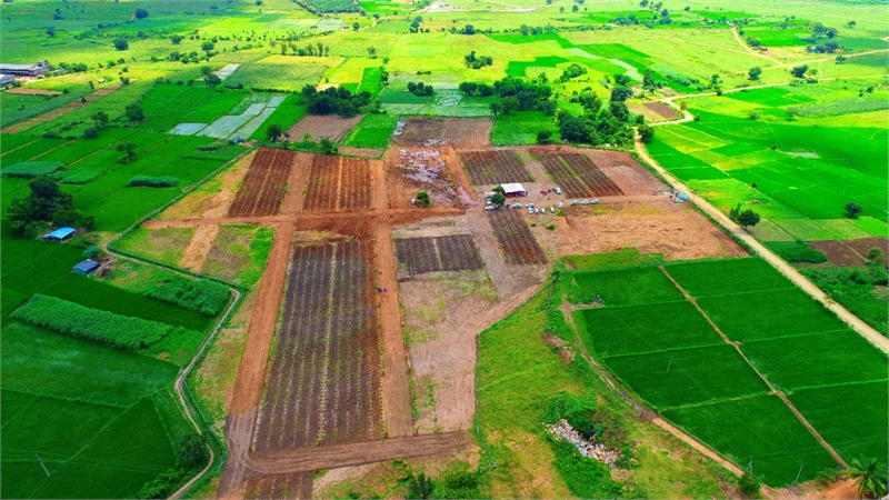 plots-now-being-sold-as-farm-plots